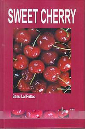 Sweet Cherry 