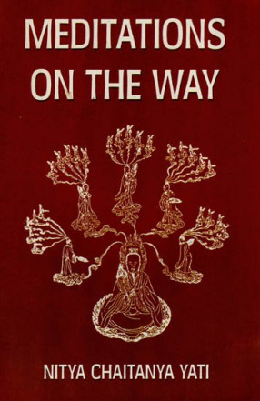 Meditations on the Way (A Contemplative and Personalized Study of the Tao Teh Ching)