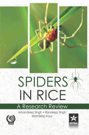 Spiders in Rice: A Research Review