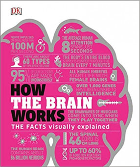 How the Brain Works: The Facts Visually Explained (How It Works)