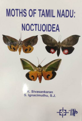 Moths of Tamil Nadu: Noctuoidea