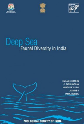 Deep Sea: Faunal Diversity in India