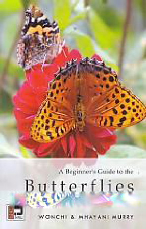 A Beginner's Guide to the Butterflies of the Himalayan Realm