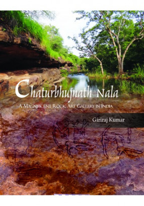 Chaturbhujnath Nala: A Magnificent Rock Art Gallery in India