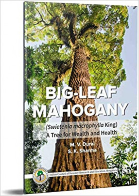 Big-Leaf Mahogany (Sweitenia Macrophylla King): A Tree for Wealth and Health