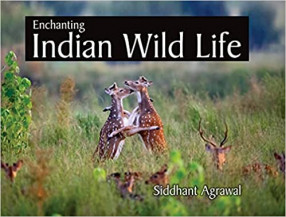 Enchanting Indian Wild Life