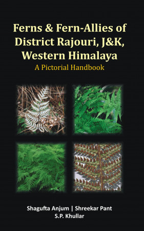 Ferns and Fern-Allies of District Rajouri, J & K, Western Himalaya: A Pictorial Handbook