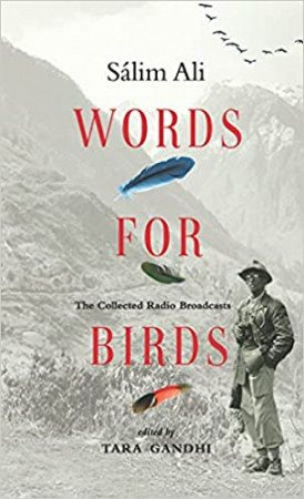 Words For Birds
