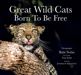 Great Wild Cats Born To Be Free
