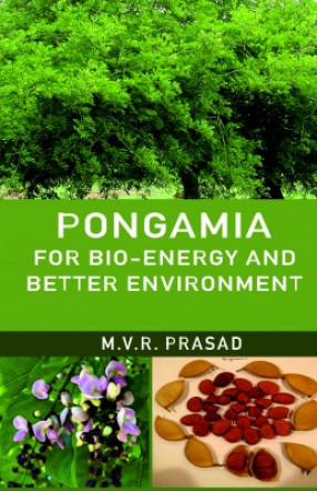 Pongamia For Bioenergy And Better Environment