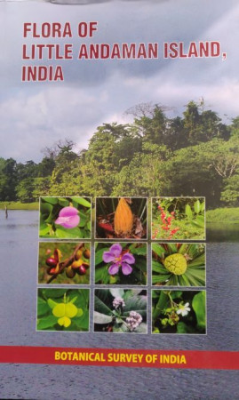 Flora of Little Andaman Island, India