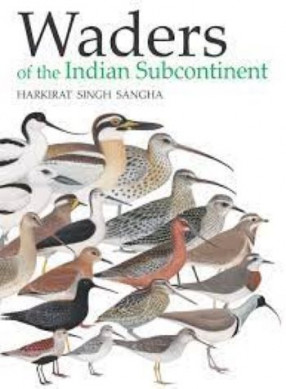 Waders of the Indian Subcontinent