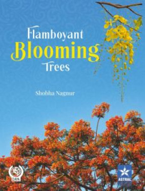 Flamboyant Blooming Trees