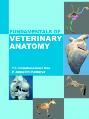 Fundamentals Of Veterinary Anatomy