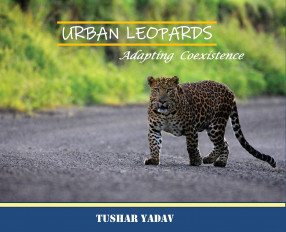 Urban Leopards, Adapting coexistence