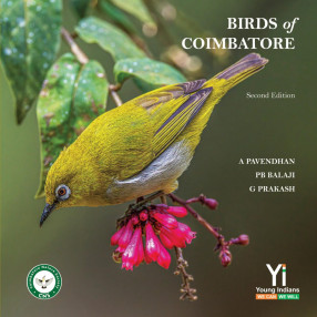 Birds of Coimbatore