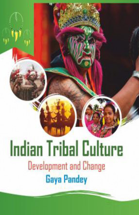 Indian Tribal Culture: Development and Change