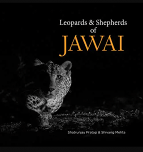Leopards & Shepherds of Jawai