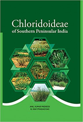 Chloridoideae of Southern Peninsular India