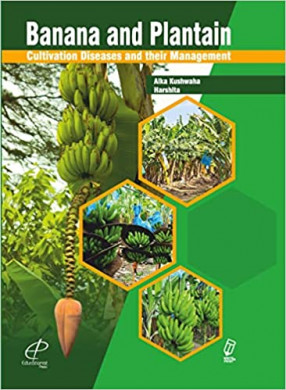 Banana and Plantain Cultivation Diseases and their Management