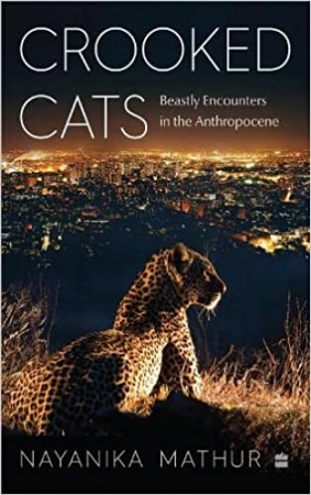 Crooked Cats: Beastly Encounters in the Anthropocene