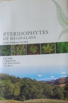 Pteridophytes of Meghalaya: A Pictorial Guide