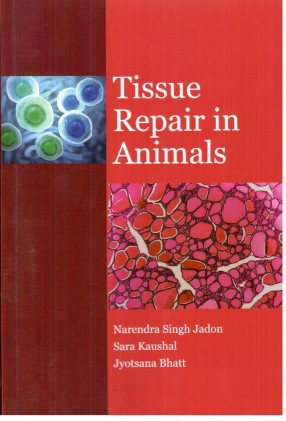 Tissue Repair in Animals