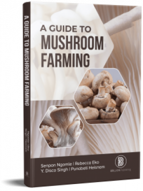 A Guide to Mushroom Farming
