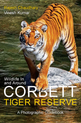 Wildlife In and Around Corbett Tiger Reserve