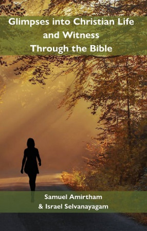 Glimpses into Christian Life and Witness Through the Bible