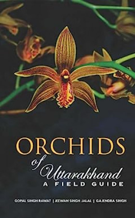 Orchids of Uttarakhand: A Field Guide