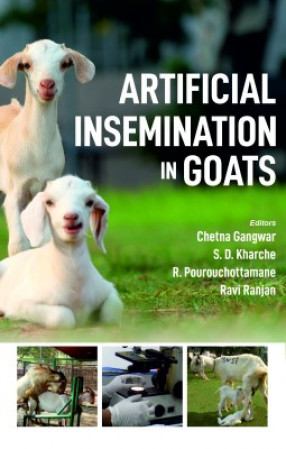  Share Artificial Insemination in Goats