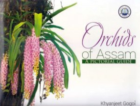 Orchids of Assam: A Pictorial Guide