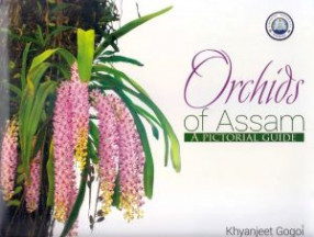 Orchids of Assam: A Pictorial Guide