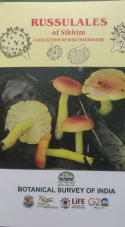 Russulales of Sikkim: A Collection of Wild Mushrooms