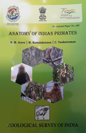 Anatomy of Indian Primates