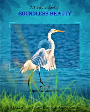 A Treasure Book of Boundless Beauty: Part III: Raptors and Water Birds