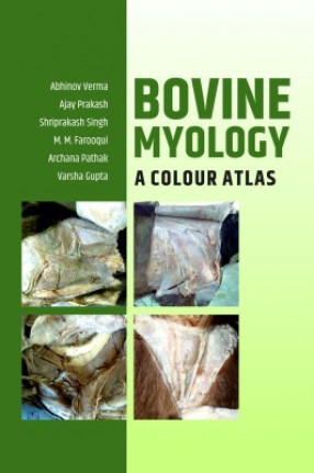 Bovine Myology: A Colour Atlas