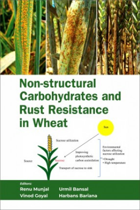 Non-Structural Carbohydrates and Rust Resistance in Wheat
