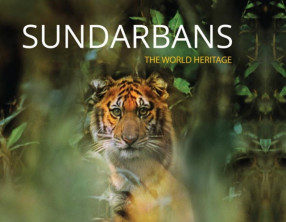 Sundarbans: The World Heritage