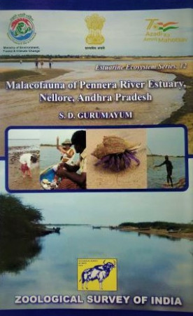 Malacofauna of Pennera River Estuary, Nellore, Andhra Pradesh