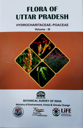 Flora of Uttar Pradesh: Vol III - Hydrocharitaceae-Poaceae