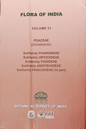 Flora of India: Volume 31: Poaceae (Gramineae)