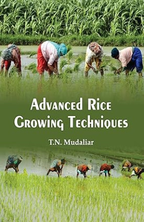 Advanced Rice Growing Techniques