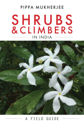 Shrubs and Climbers in India: A Field Guide
