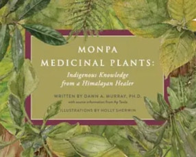 Monpa Medicinal Plants: Indigenous Kowledge from a Himalayan Healer
