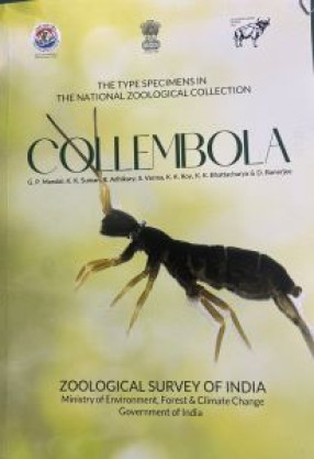 Collembola: The Type Specimens in the National Zoological Collection