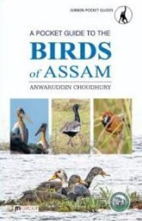 A Pocket Guide to the Birds of Assam